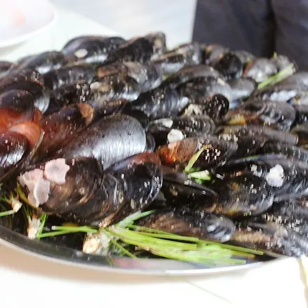 Tirana 호텔